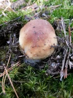 20130918_100609.jpg
