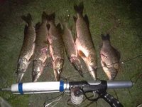 2013-09-18 21.59.57.webp