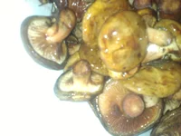 -0335.webp