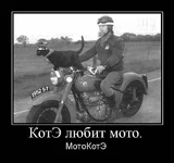 x_c607e2e3.webp