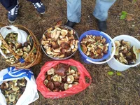20130920_133138.webp