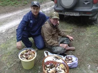200920131234.webp