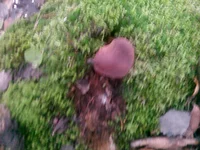 CAM_0071.webp