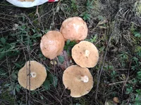 2013-09-21 11.50.04.jpg