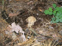 IMG_6666.webp