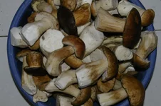 _IGP6695.jpg