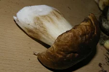 _IGP6693.jpg