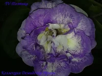 180920133389.webp