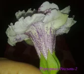 200920133398.webp