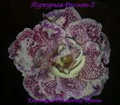 200920133399.webp