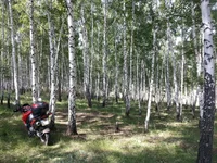 20130811_154229.webp
