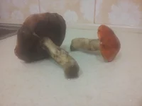 2013-09-20 20.38.18.webp
