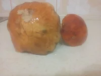 2013-09-20 20.38.42.webp