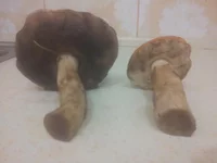 2013-09-20 20.38.55.webp