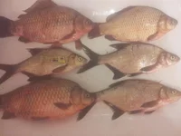 2013-09-23 10.45.46.webp