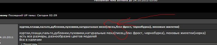 писец2.JPG