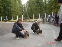 DSC06769.webp