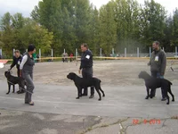 DSC06774.webp