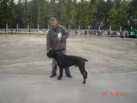 DSC06786.webp