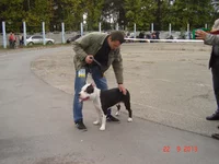 DSC06812.webp