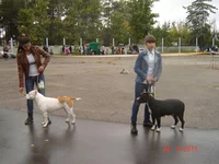 DSC06820.webp
