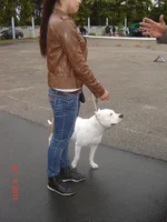 DSC06826.webp