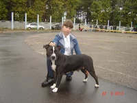 DSC06836.webp