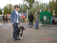 DSC06848.webp