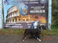 DSC06855.webp