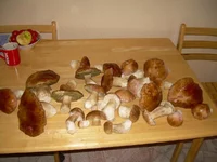 DSCN6677.jpg