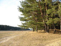IMG_3982.jpg