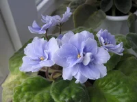 IMG_3959.webp