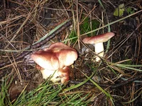 WP_000681.jpg