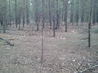 IMG_20130926_133901.webp