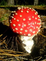 IMG_20130926_085644.jpg