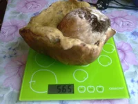 .webp