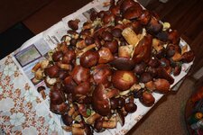 IMG_3716_с.jpg
