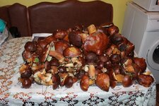 IMG_3717_с.jpg