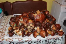 IMG_3717_с.webp