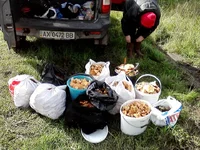 P28-09-13_12.webp