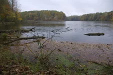 IMGP0556.webp