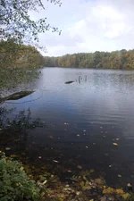 IMGP0563.webp