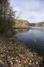 IMGP0573.webp