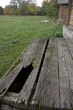 IMGP0617.webp