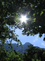 Foto k134.webp