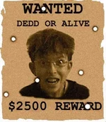 dedd2.webp