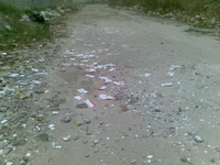 31102008(002).webp