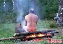 80873511.webp