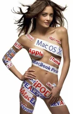 490c7ad6253a0.webp