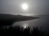 PIC_00003.webp